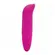 Vibrador Ponto G Golfinho Discreto Compacto