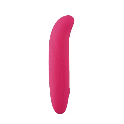 Vibrador Golfinho Ponto G e Aveludado Recarregável